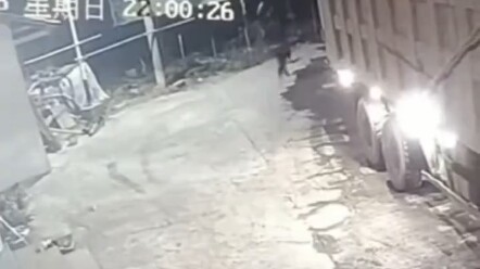 男子被路边狗咬后，转身拿棍子打死狗，到底应该不应该？