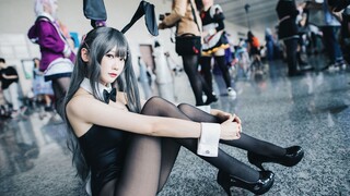 [Usagi Rabbit] Miss sister cos Sakurajima Mai, mere Sakuta, so arrogant, cured my cervical spondylos