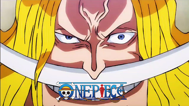 [Film & TV] The most pirate fighting in Onepiece