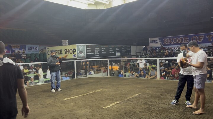 4 stag big event (WIN)