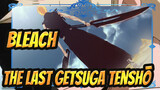 [Bleach] The Last Getsuga Tenshō