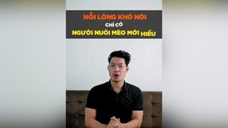 Nỗi lòng khó nói chỉ có người nuôi mèo mới hiểu petonesaigon petnhatrang tuitienpet dcgr