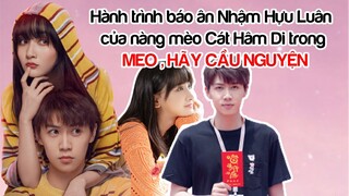 Hành trình báo ân Nhậm Hựu Luân của Cát Hâm Di trong MEO , HÃY CẦU NGUYỆN (Make a Wish)