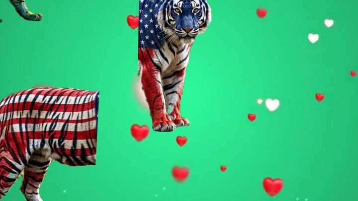 choice for tiger flag 🐯.