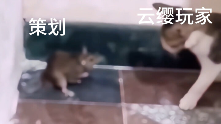 Been putting this off for so long—now it’s finally dropping, I barely slept a wink!