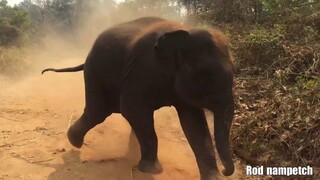 น้ำเพชรยังไม่อยากกลับ🙄ยังอยากสนุกต่อที่บนดอย 🤗#อากาศไม่ค่อยดีนัก #เชียงใหม่ #PM2.5