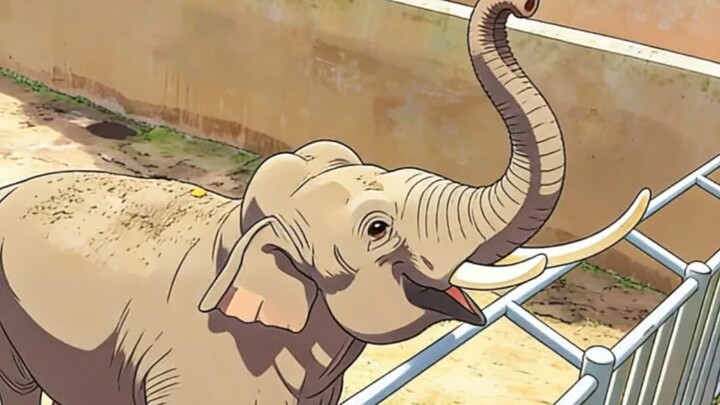 Voi giúp du khách nhặt mũ, rồi vui vẻ nhảy múa sau khi được cho ăn để cảm ơn!