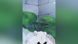 khi đam mê quảng cáo mà bị bắt đi làm hải tặc 🤣🤣 onepiece xh luffy brook