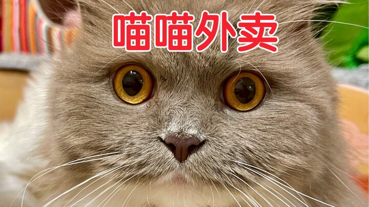 The mouse is still there, but the cat is gone!!!