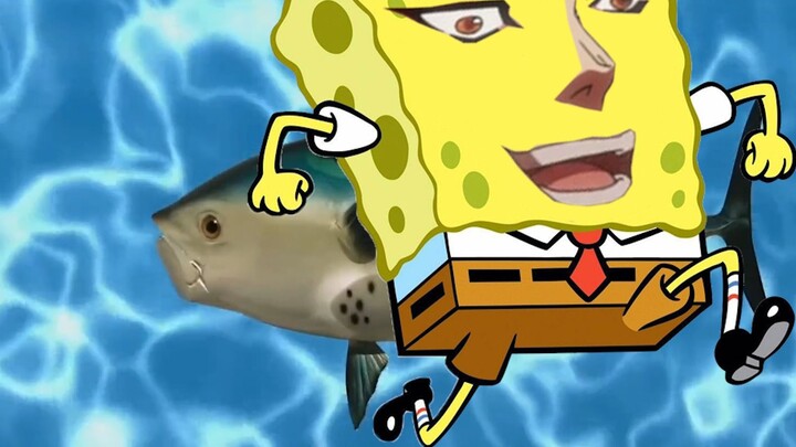 JOJO’s Wonderful Memes #1