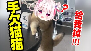 No matter how cute a cat is, it will still be naughty!!!