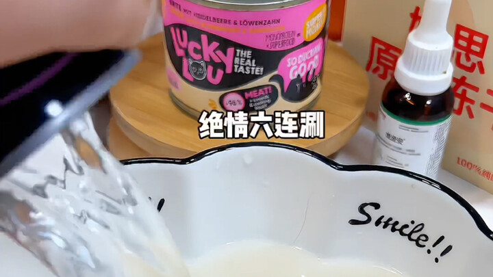 Bữa ăn “đắm chìm” cho chú mèo con 6 kg