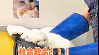 Lúc này, một chiếc bánh bao trắng phát ra tiếng nổ chói tai