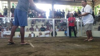 agoncillo batangas 2hits 2nd fight lose