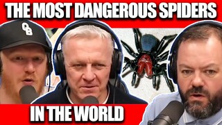 THE MOST DANGEROUS SPIDERS In The World | OFFICE BLOKES REACT!!