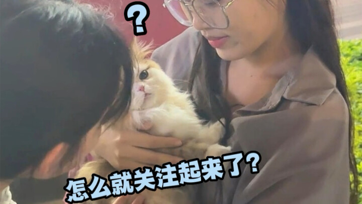 Khi tôi nói Messi là một chú mèo hoang, thật sự đã cảm thấy ấm lòng trước những hành động của mọi ng