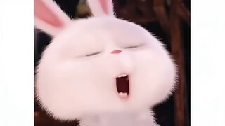 屁弗全网寻找贝壳   becccca 由乃呀！