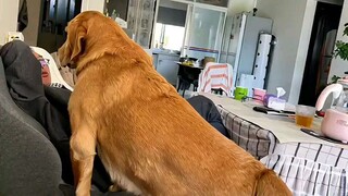 Ai funny Editing video | #shorts #viralreels #hot