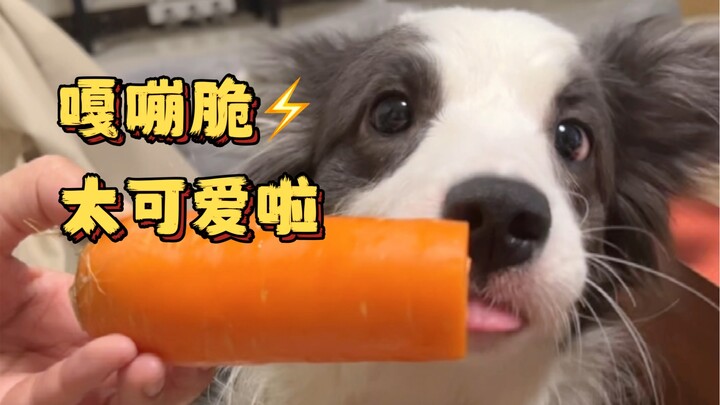 People aren’t supposed to smack their lips, but puppies can! (At your request, I’ve turned down the 