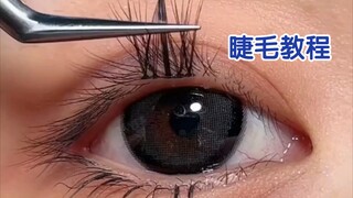 All my life's learning is right here—eyelash application tutorial!