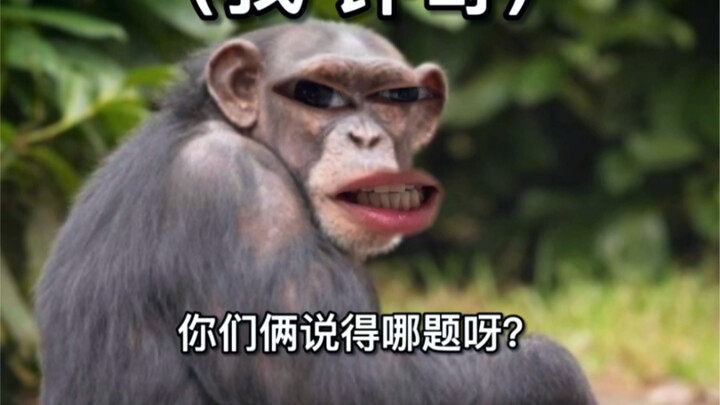 [Zhong Qi, Zhong Qi] Did we even take the same exam?