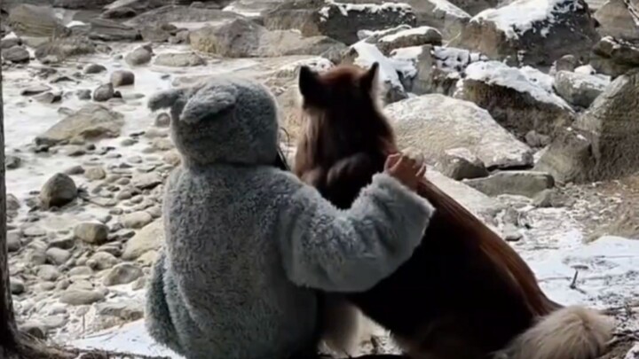 Mặc áo len hình cún, lúc nào cũng cảm nhận được sự ấm áp của bé cún!