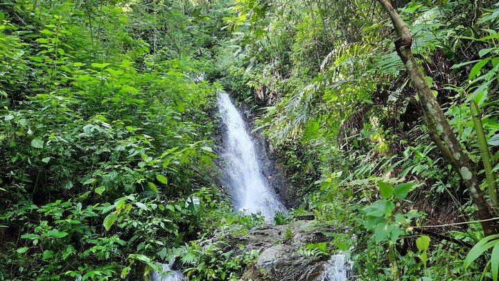 NATURALEZA 😍💚 (La Merced del Potrero, Oaxaca)