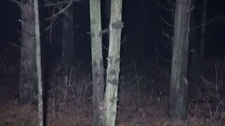 scary short video