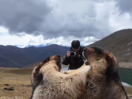 Stop fighting! 1