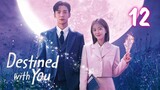 🇰🇷Destined With You (2023) EP 12 [Eng Sub]