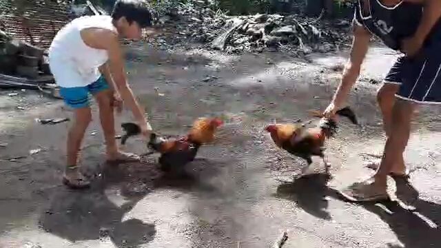 POSSUM SWEATER‼️SPAR‼️ISANG BAGSAKAN‼️🔥🐓