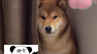 ลูกชายตัวใหญ่ของแม่ (สกิลที่สาม)
