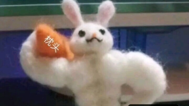 [Najun] What kind of rabbit do you like?