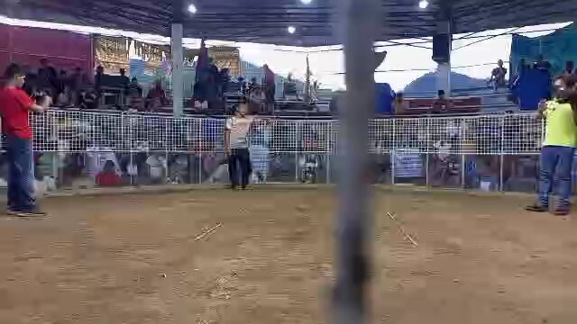 2 Wins (Bacuag,SDN)