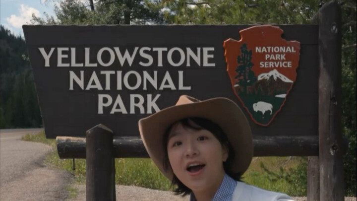 Unlock the World Within Your Books | Is Yellowstone National Park in English Class Really Just a Par