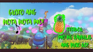 PINYA TITIBOK MO