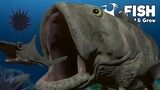 (อัพเดทครั้งใหญ่) ปลากะรังยักษ์แอตแลนติก กับ เม่นทะเลสุดร้ายกาจ? | Fish Feed and Grow #103