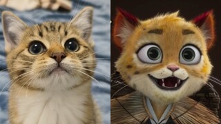 One leopard falls, ten thousand leopards rise!!!