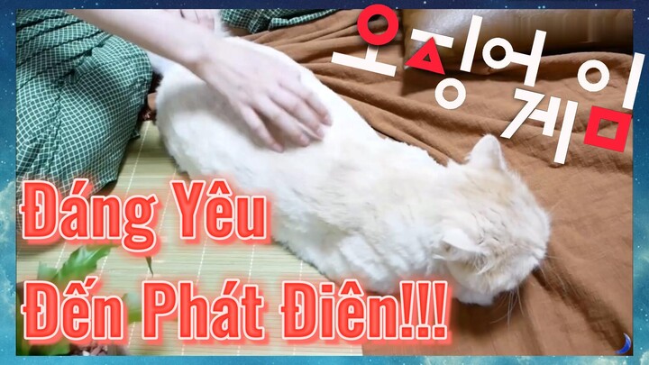 Đáng Yêu Đến Phát Điên!!!