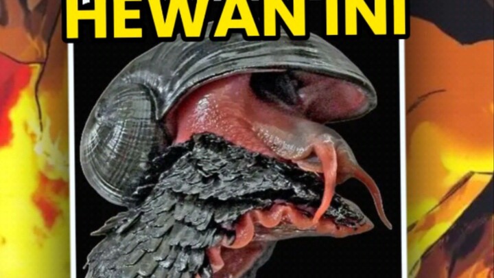 kemampuan sebenarnya seekor Siput