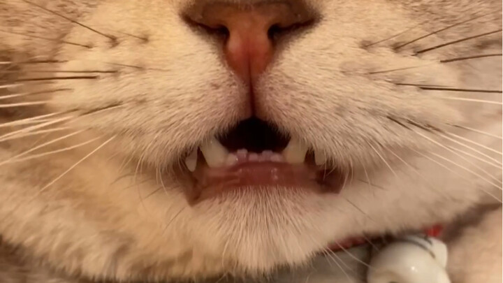 ความแตกต่างระหว่างการพูดเสียงดังกับเสียงเบาครั้งนี้ชัดเจนกว่าเดิมเลย…