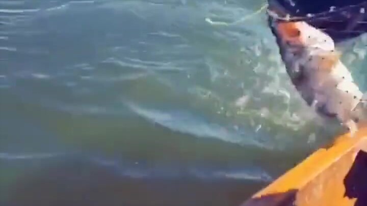 วิดีโอนี้อธิบายงานของฉันได้อย่างสมบูรณ์แบบ