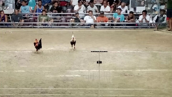 di sayang Ang pag aalaga .