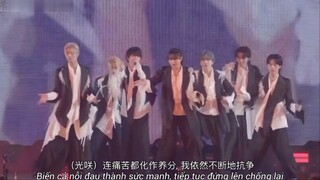 【Vietsub】【原因は自分にある。】In The Fate