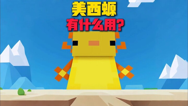【MC】Axolotls are more than just cute—these real-world applications are amazing!