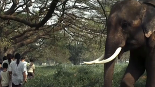 review phim Người bảo vệ 2 tập 1 #reviewphim #phimhay #reviewphimhay