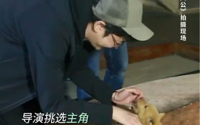 Your hard work will always be seen—look at me, Xiu Gou, I’m totally awesome! “Hachiko the loyal dog”