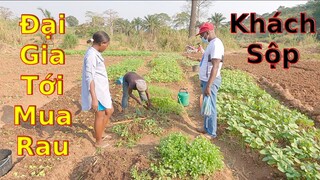 Khi giám đốc bệnh viện tới mua rau của xóm trọ châu phi|| 2Q Vlogs||Cuộc sống châu phi