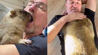 You’ve seen people petting cats, but have you ever seen people petting groundhogs?