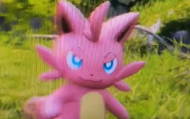 Such a mischievous cat—it’s making me spin!